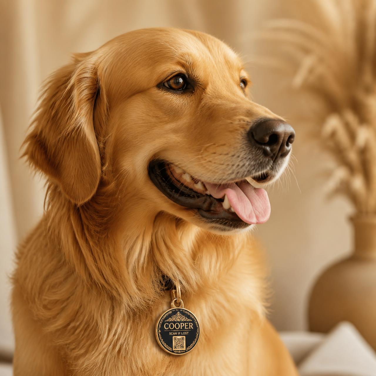 Perro con una placa QR FREIXOP PET dorada y negra en su collar